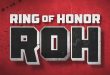 ROH-600x330