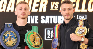 Garner-vs-Bellotti